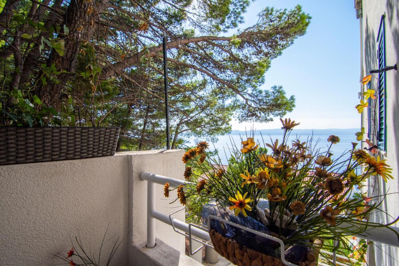 Apartments Vranjes Brela Εξωτερικό φωτογραφία
